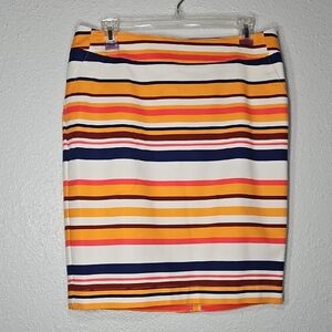Striped Multicolor Women's Skirt